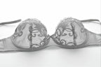 Women's embroidered bra set